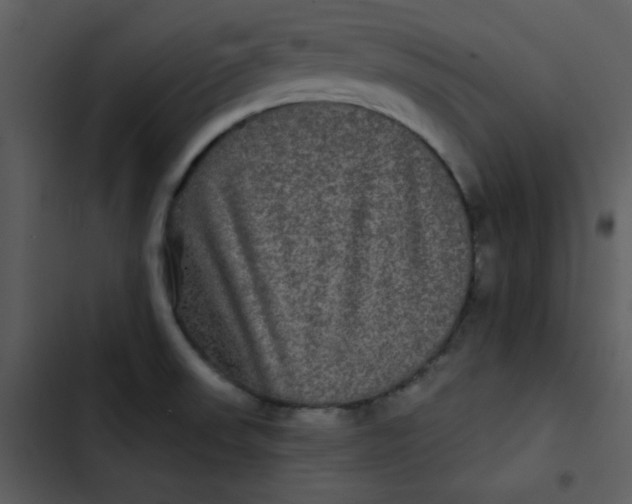 X0000103321523200809261124