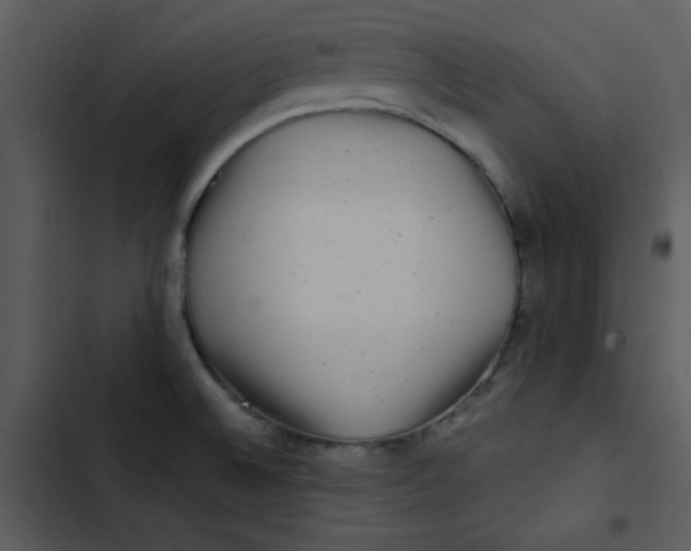 X0000103321524200809261124