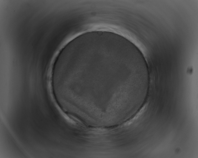 X0000103321525200809261124