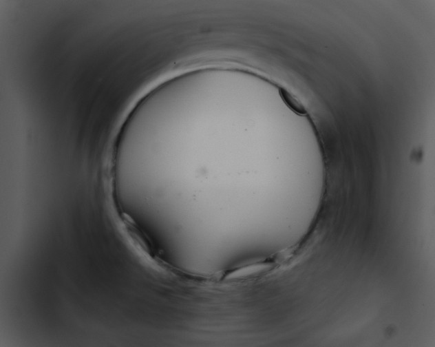 X0000103321526200809261124