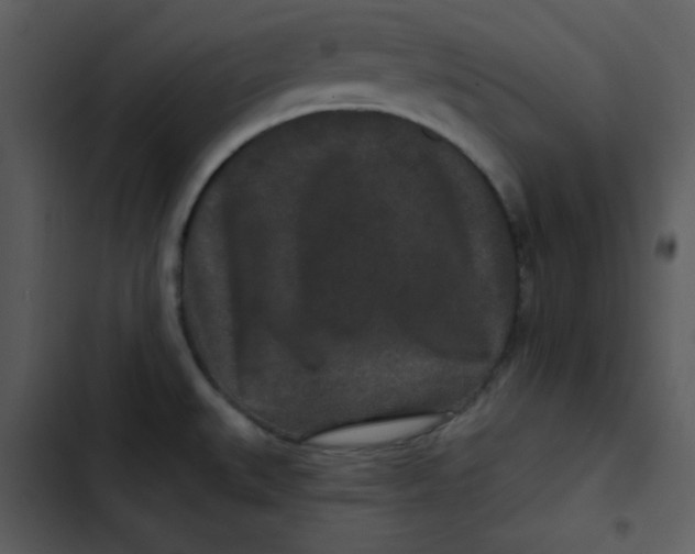 X0000103321527200809261124