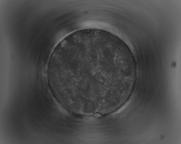 X0000103321529200809261124