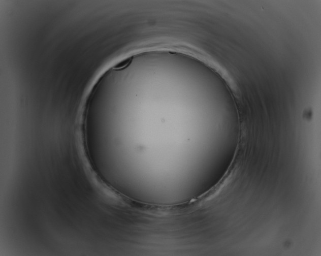 X0000103321530200809261124