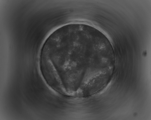 X0000103321533200809261124