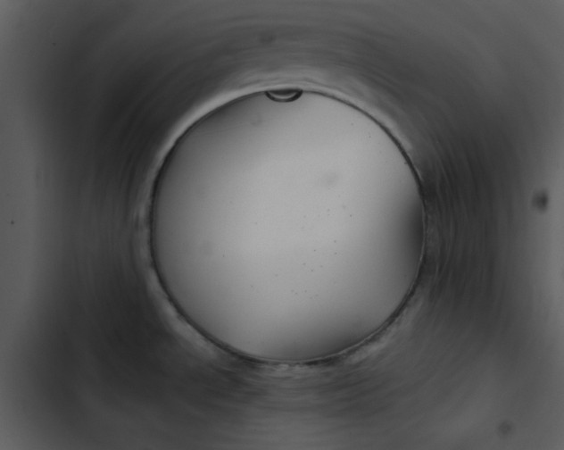 X0000103321534200809261124