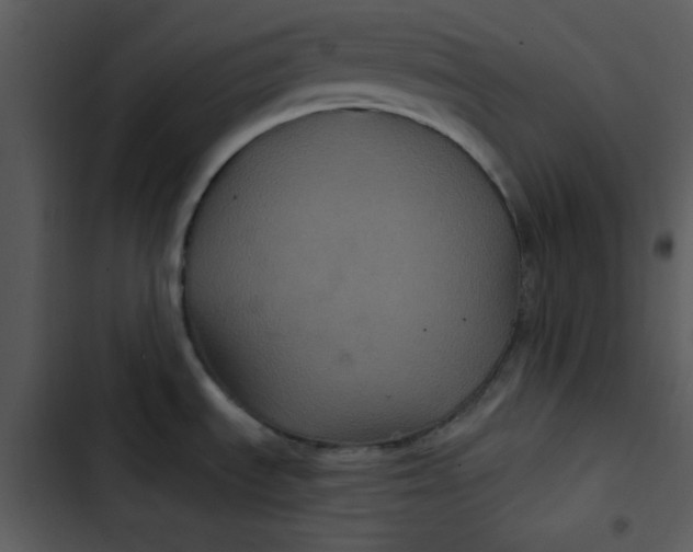 X0000103321535200809261124