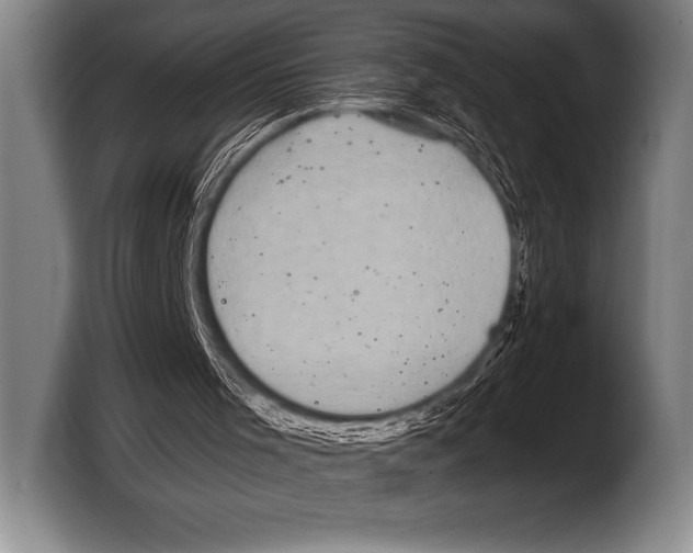 X0000103320001200810061004