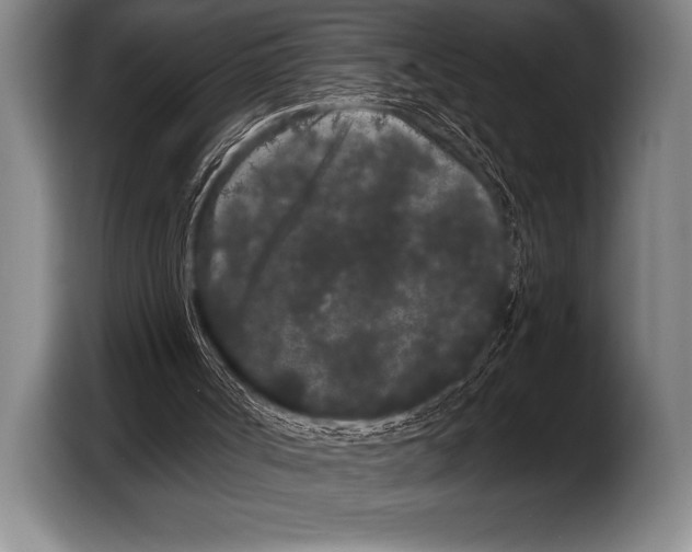 X0000103320002200810061004