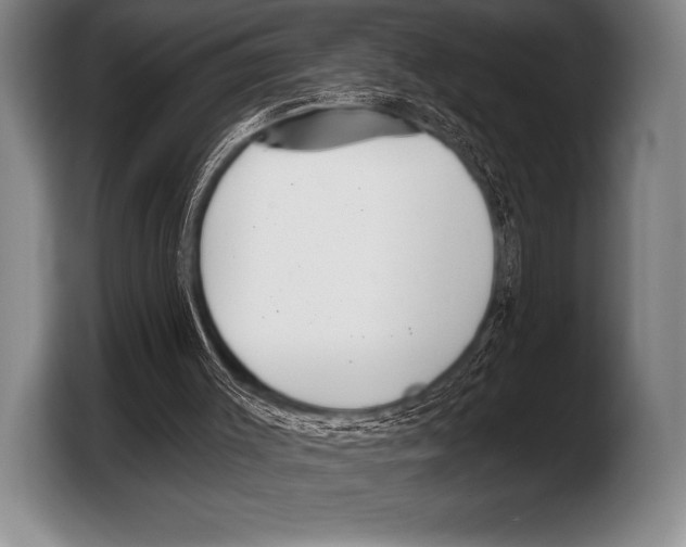X0000103320003200810061004