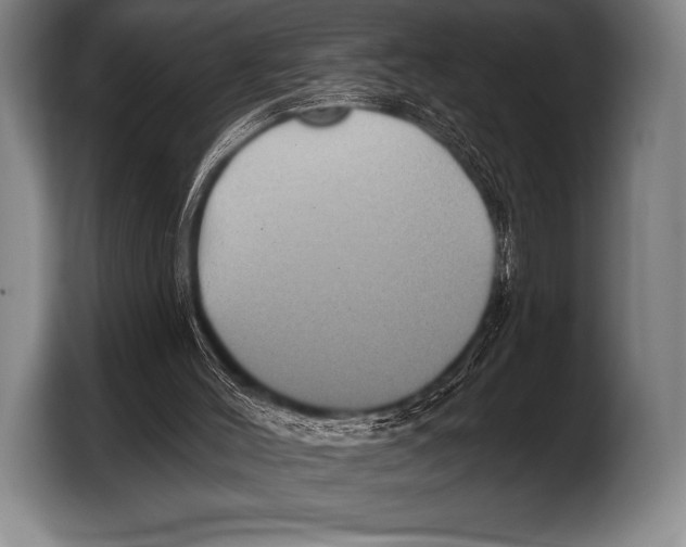 X0000103320004200810061004