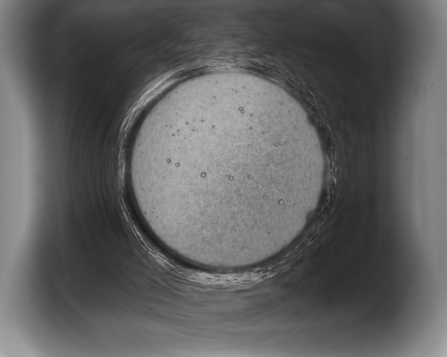 X0000103320005200810061004
