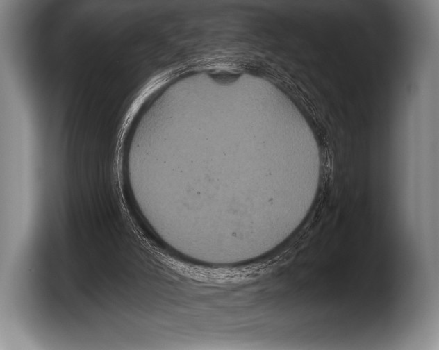 X0000103320006200810061004