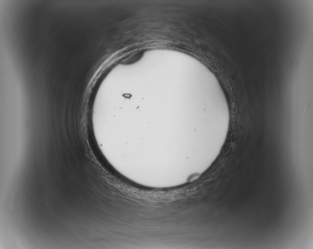 X0000103320007200810061004