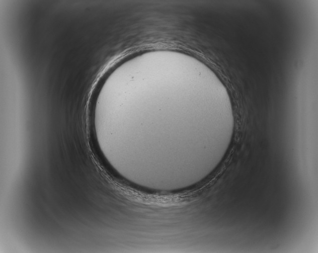 X0000103320008200810061004