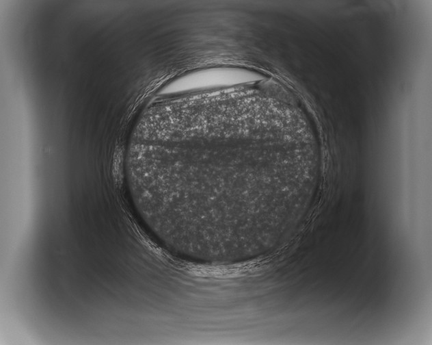 X0000103320009200810061004