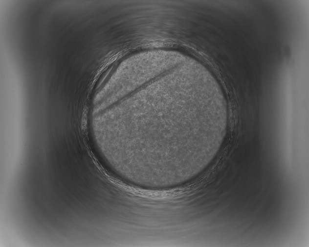 X0000103320010200810061004