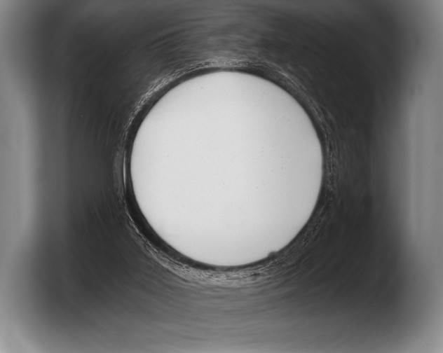 X0000103320011200810061004
