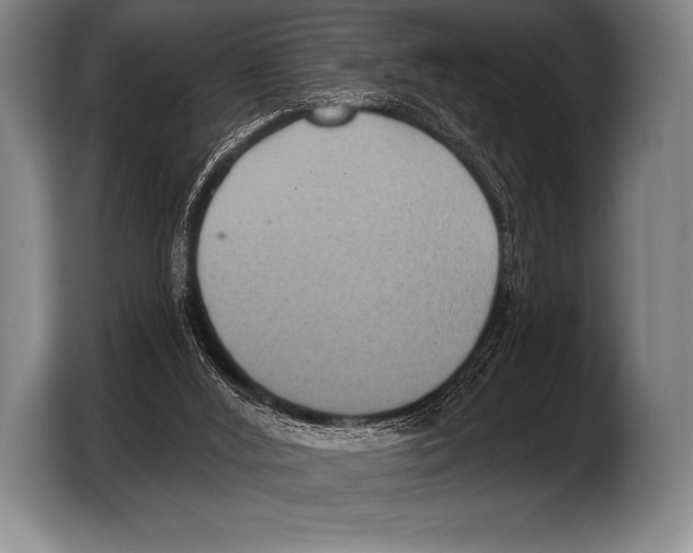 X0000103320012200810061004