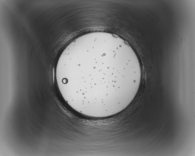 X0000103320013200810061004