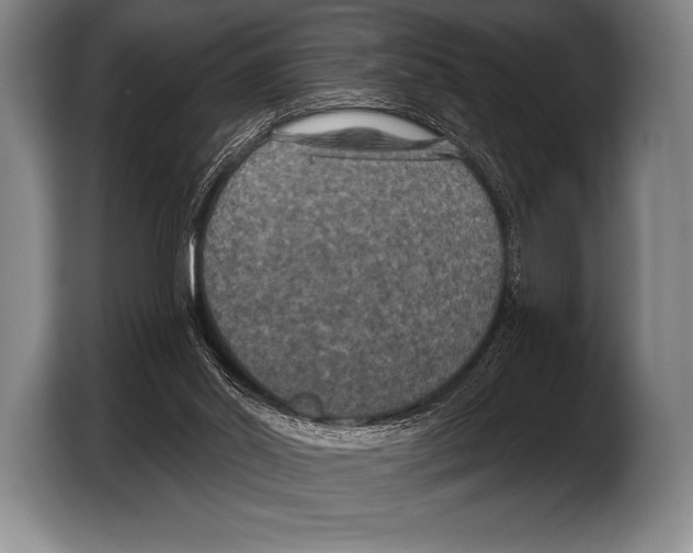 X0000103320014200810061004