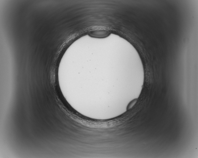 X0000103320015200810061004