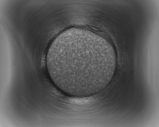 X0000103320017200810061004