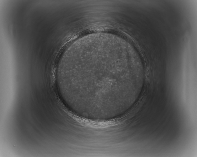 X0000103320018200810061004