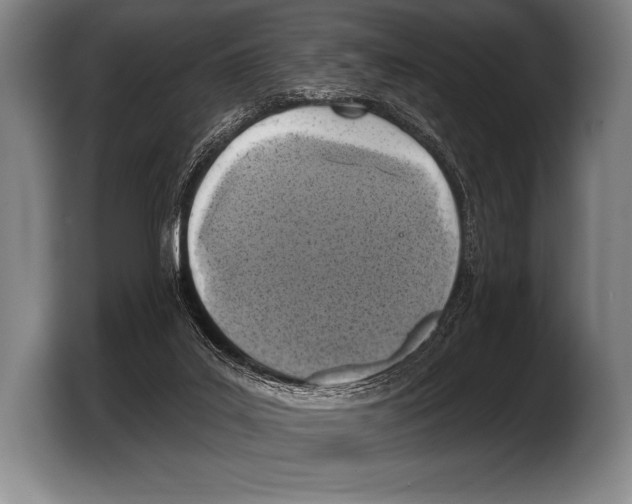 X0000103320019200810061004