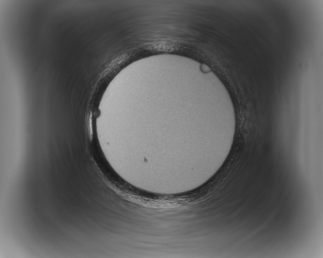 X0000103320020200810061004