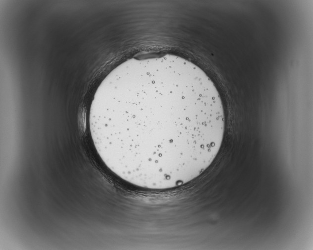 X0000103320021200810061004