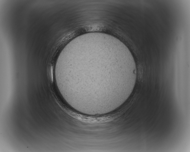 X0000103320022200810061004