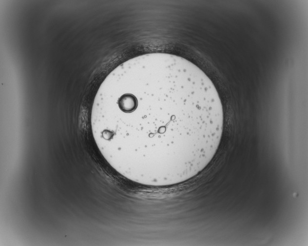 X0000103320025200810061003