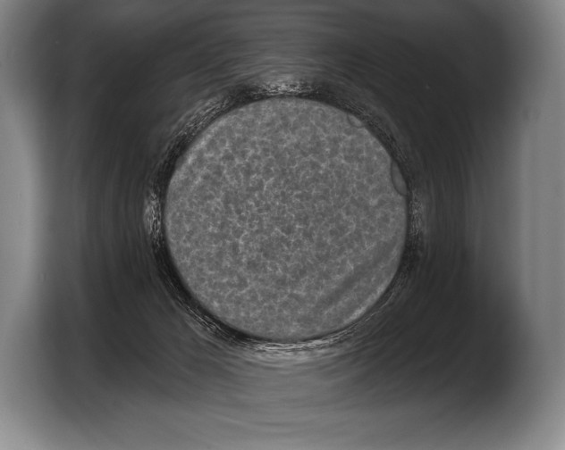 X0000103320029200810061003