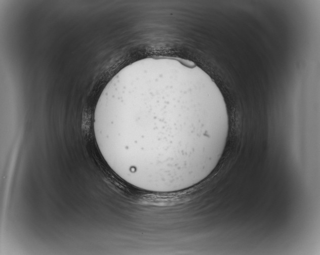 X0000103320033200810061003