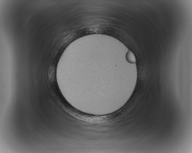 X0000103320036200810061003