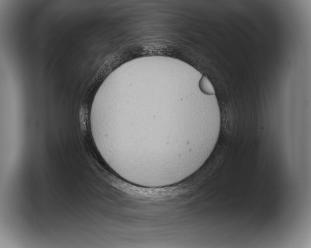 X0000103320038200810061003