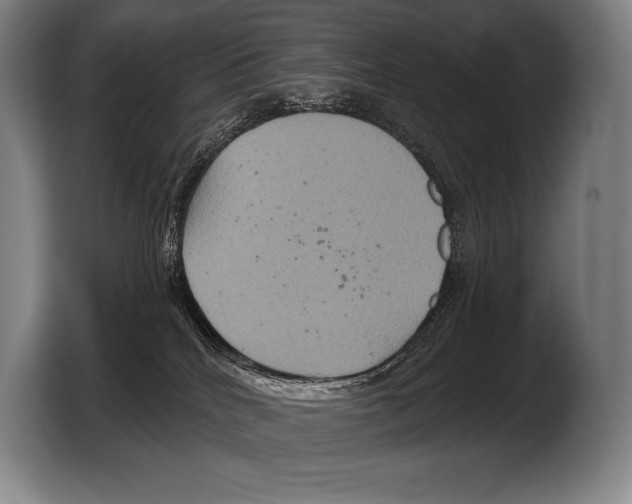 X0000103320040200810061003