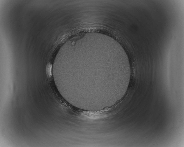 X0000103320041200810061003