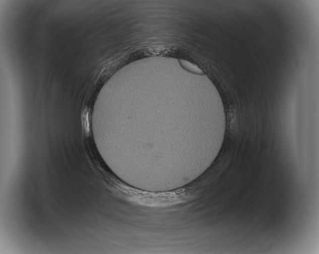 X0000103320042200810061003