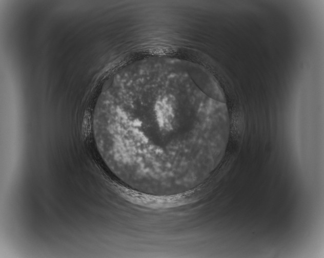 X0000103320043200810061003