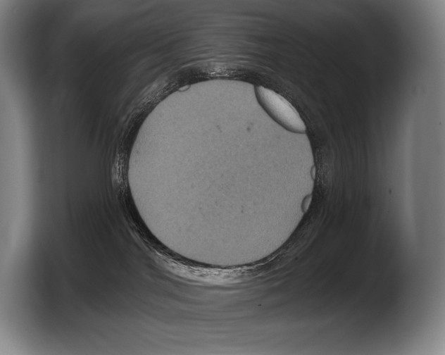 X0000103320044200810061003