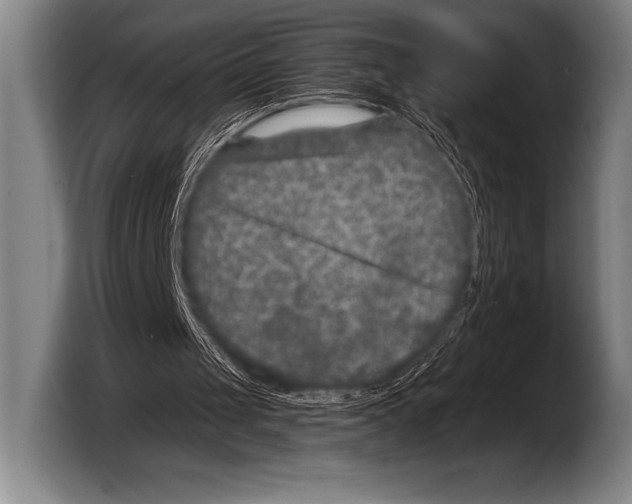 X0000103320049200810061003