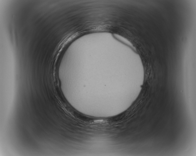 X0000103320050200810061003