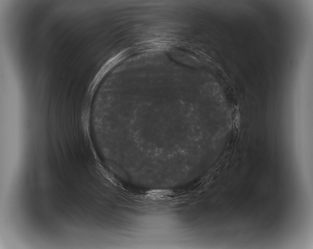 X0000103320051200810061003