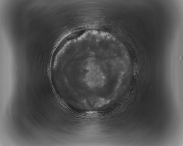 X0000103320052200810061003