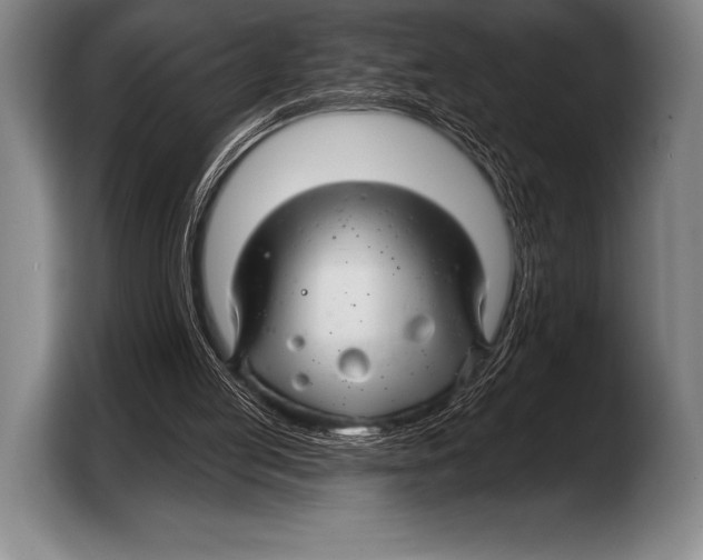X0000103320053200810061003