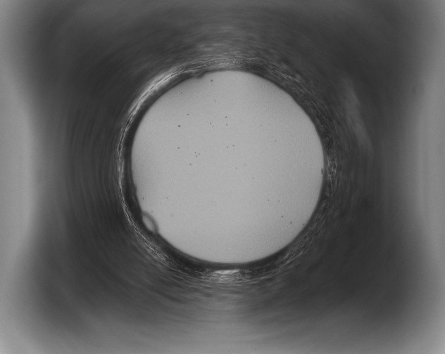 X0000103320054200810061003
