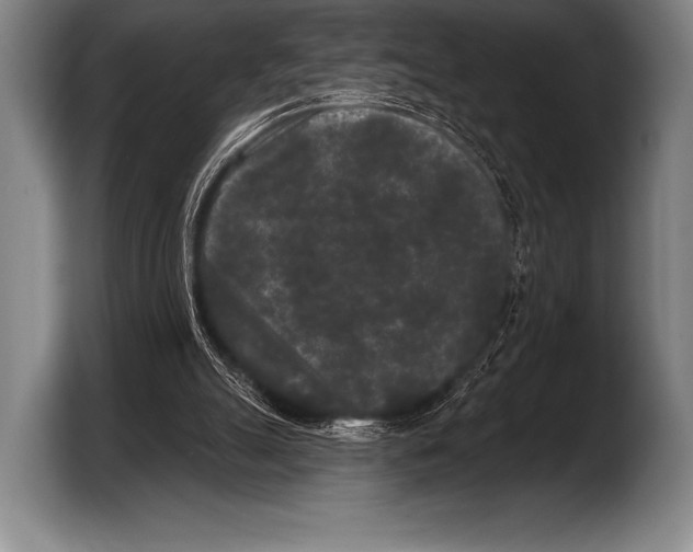X0000103320055200810061003