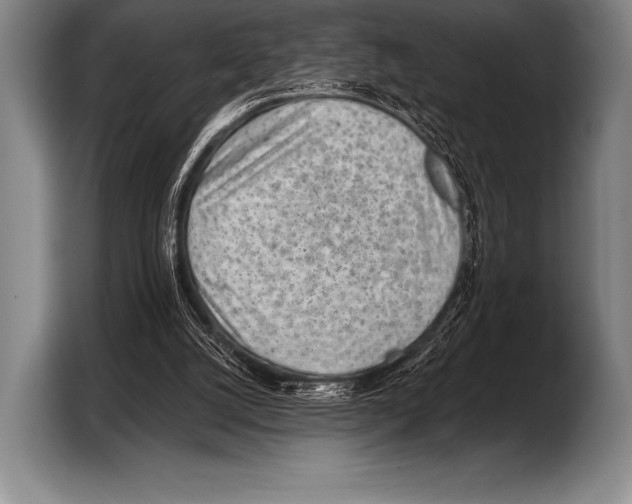 X0000103320056200810061003
