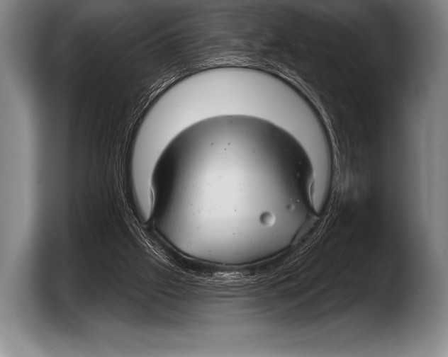X0000103320057200810061003